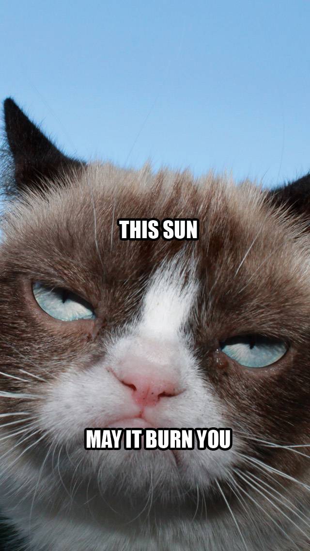 Grumpy Cat Weather for hot weather