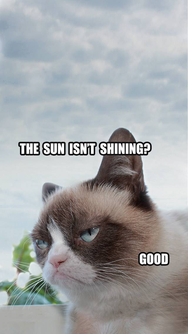 Grumpy Cat Weather for overcast weather
