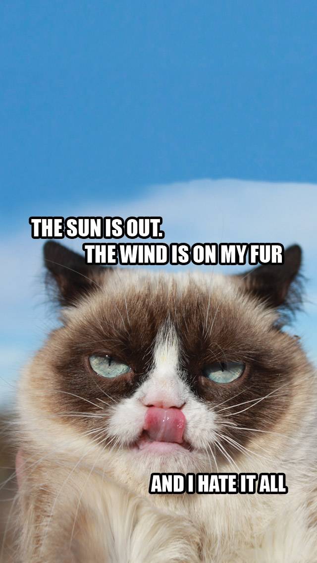 Grumpy Cat Weather for partly cloudy weather
